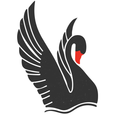 Black Swan Fashion